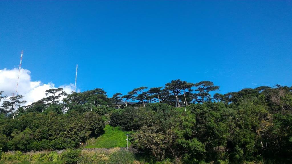 Literature River Bank 文學河岸 民宿 Hualien City Exterior foto