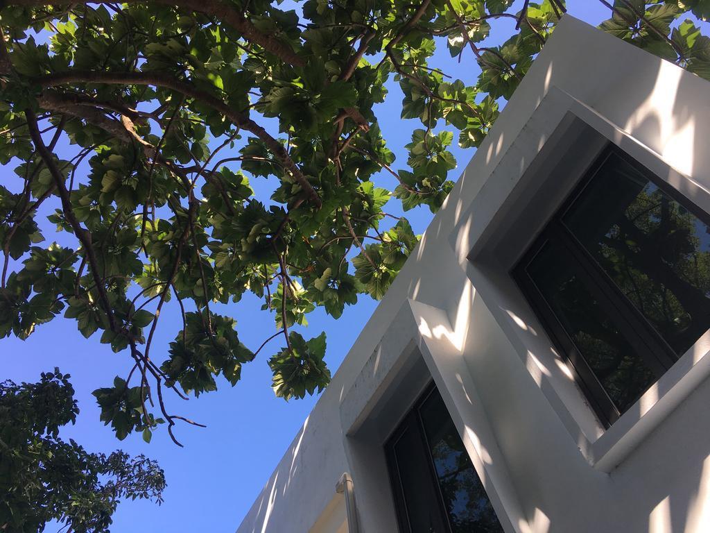 Literature River Bank 文學河岸 民宿 Hualien City Exterior foto